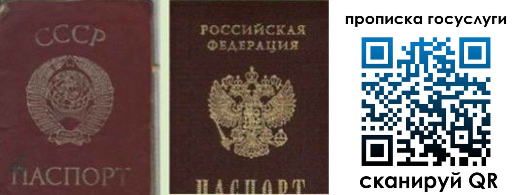 временная регистрация 2025 в Электростали